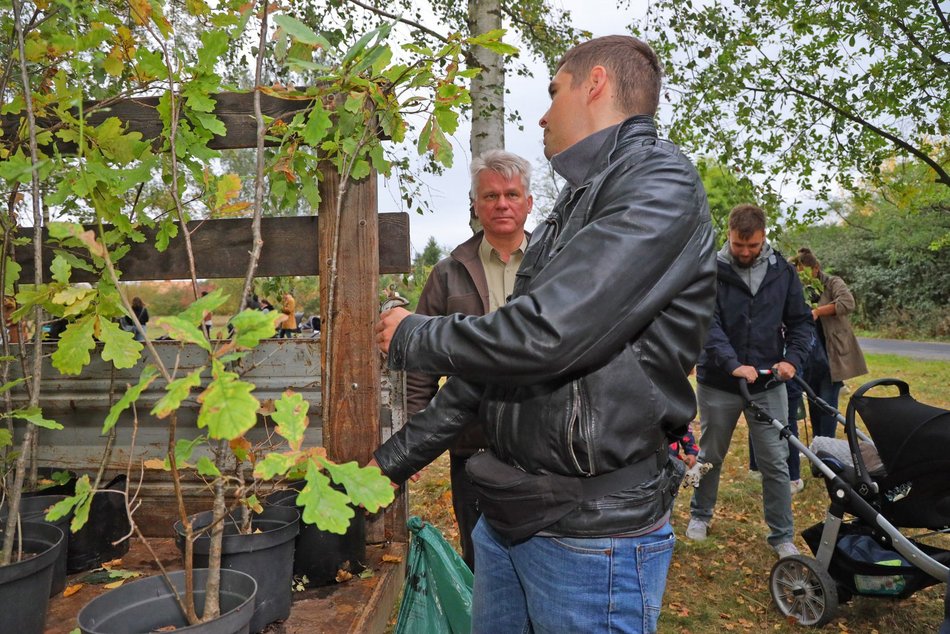 Rozrasta się Las Młodej Łodzi. Sadzenie drzew