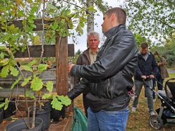 Rozrasta się Las Młodej Łodzi. Sadzenie drzew