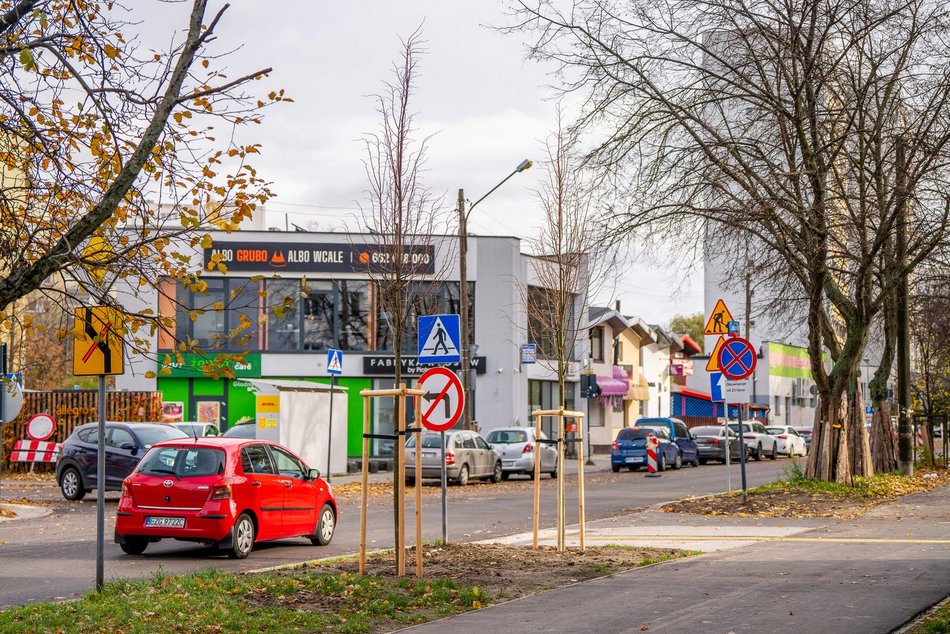 Łódź. Nowe drzewa przy Ciołkowskiego w Łodzi. Oczyszczą powietrze i upiększą okolicę