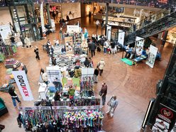 Łódź. Psi Targ w Manufakturze w Łodzi. Każdy miłośnik czworonogów znajdzie tu coś dla siebie