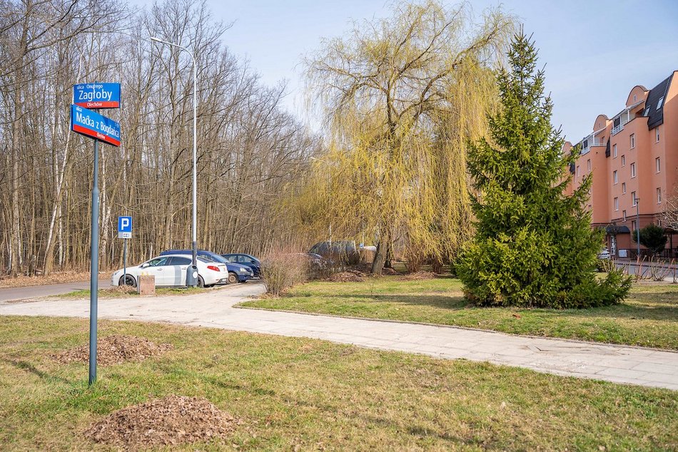 Łódź. Nowa siłownia plenerowa na Olechowie. Mieszkańcy zyskają miejsce do spędzenia wolnego czasu