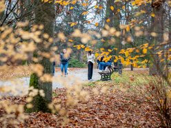 Łódź. Jesień w parku Źródliska