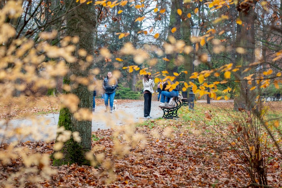 Łódź. Jesień w parku Źródliska