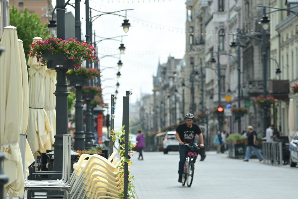 Łódź. Piotrkowska w pełnym rozkwicie! Tysiące kwiatów zdobią centrum Łodzi