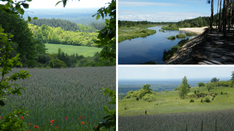 Łódź. Parki Krajobrazowe w Łódzkiem. Czy wiedziałeś, że jest ich aż 7?