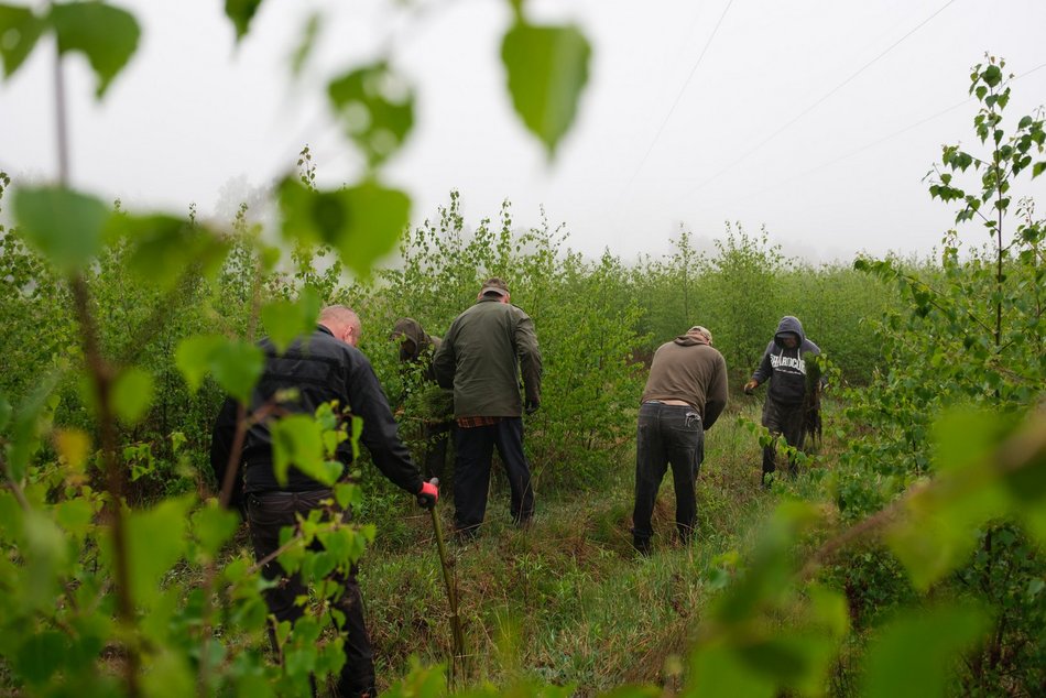 Łódź. Prawie 19 tysięcy nowych drzew w Łodzi jeszcze wiosną