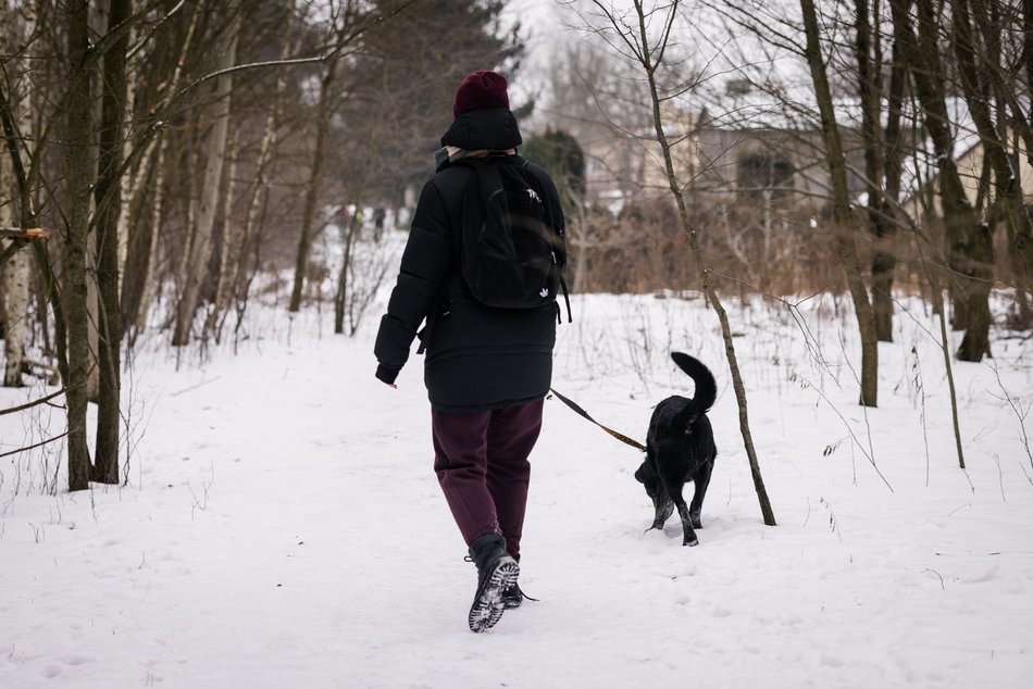 Łódź. Psy ze schroniska w Łodzi znów na spacerze! Dla tych wesołych pyszczków aż chce się chodzić!
