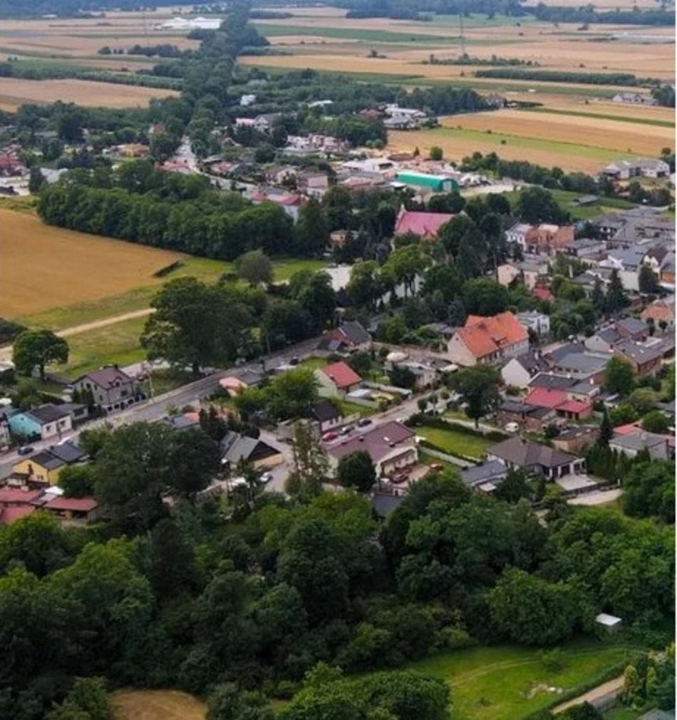 Cmentarzysko wikingów w Lutomiersku