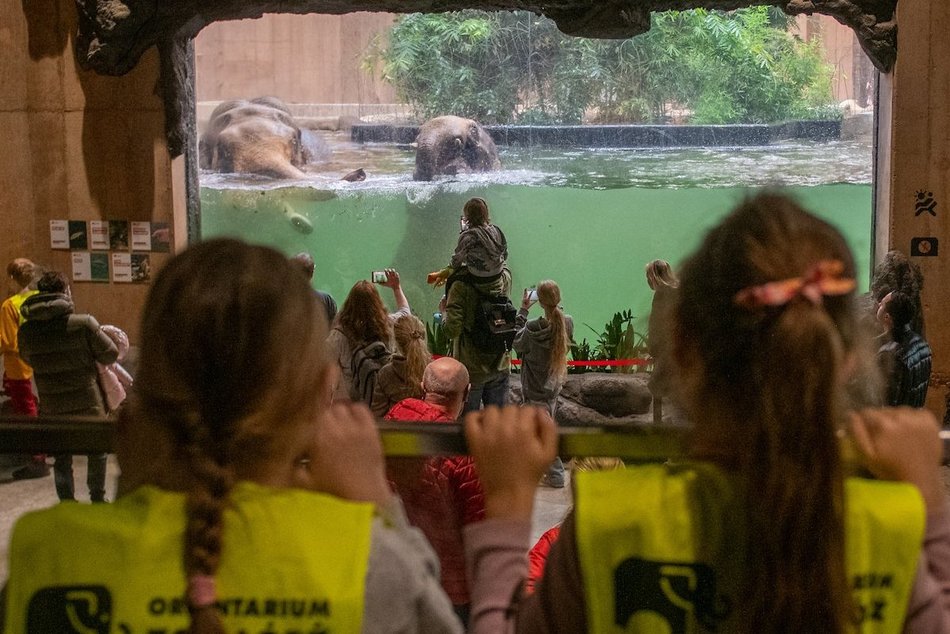 Łódź. Najlepsze zniżki na ferie zimowe 2026 w Łodzi? Tylko z Kartą Łodzianina i Kartą Dużej Rodziny!