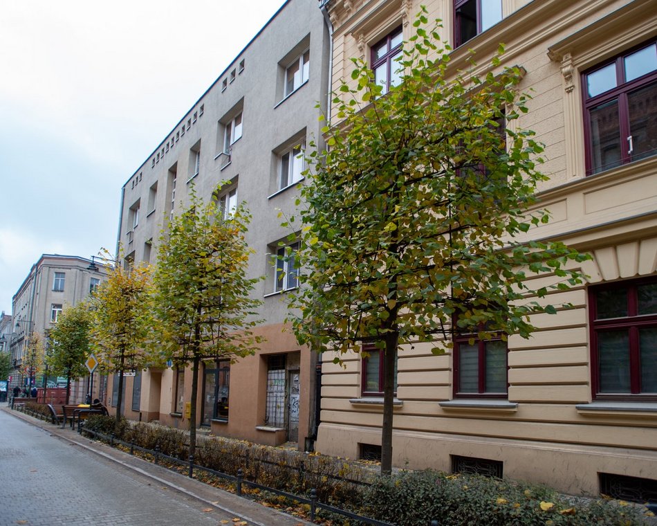 Jesienny piknik z rewitalizacją