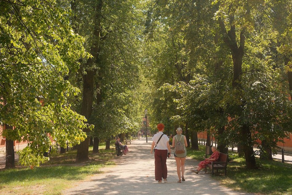 Łódź. Relaks na świeżym powietrzu w Łodzi? Księży Młyn i park Źródliska idealne na długi weekend