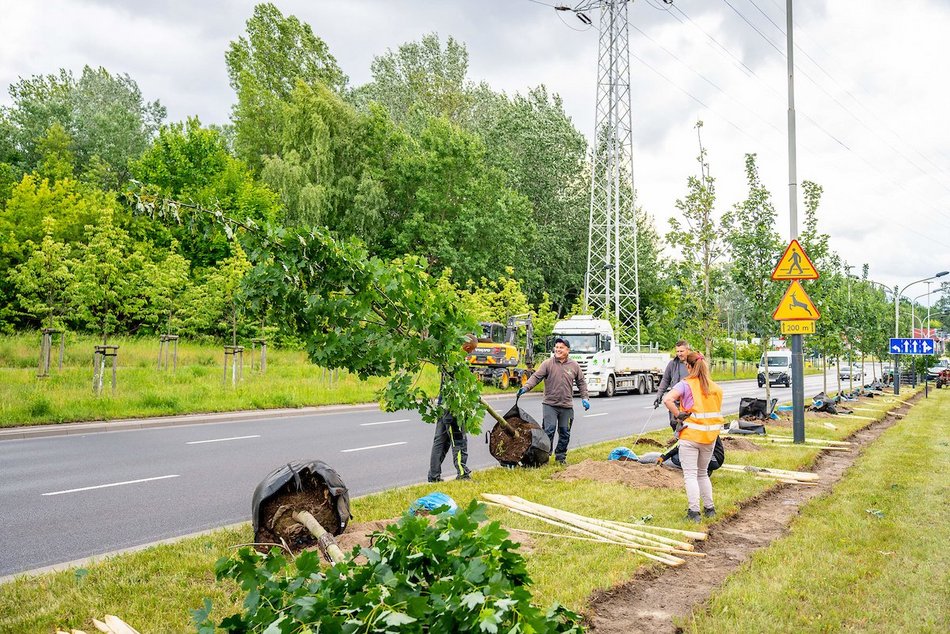Łódź. Budżet Obywatelski Łódź 2025. Więcej zieleni przy Włókniarzy Łodzi