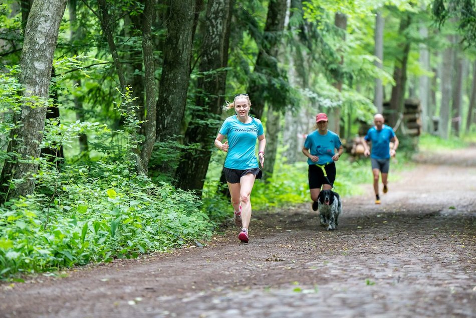 Łódź. Parkrun w Lesie Łagiewnickim w Łodzi. Brałeś udział w biegu? Znajdź się na zdjęciach!