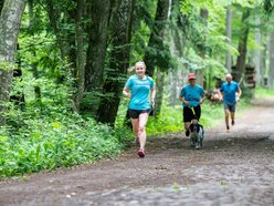 Łódź. Parkrun w Lesie Łagiewnickim w Łodzi. Brałeś udział w biegu? Znajdź się na zdjęciach!