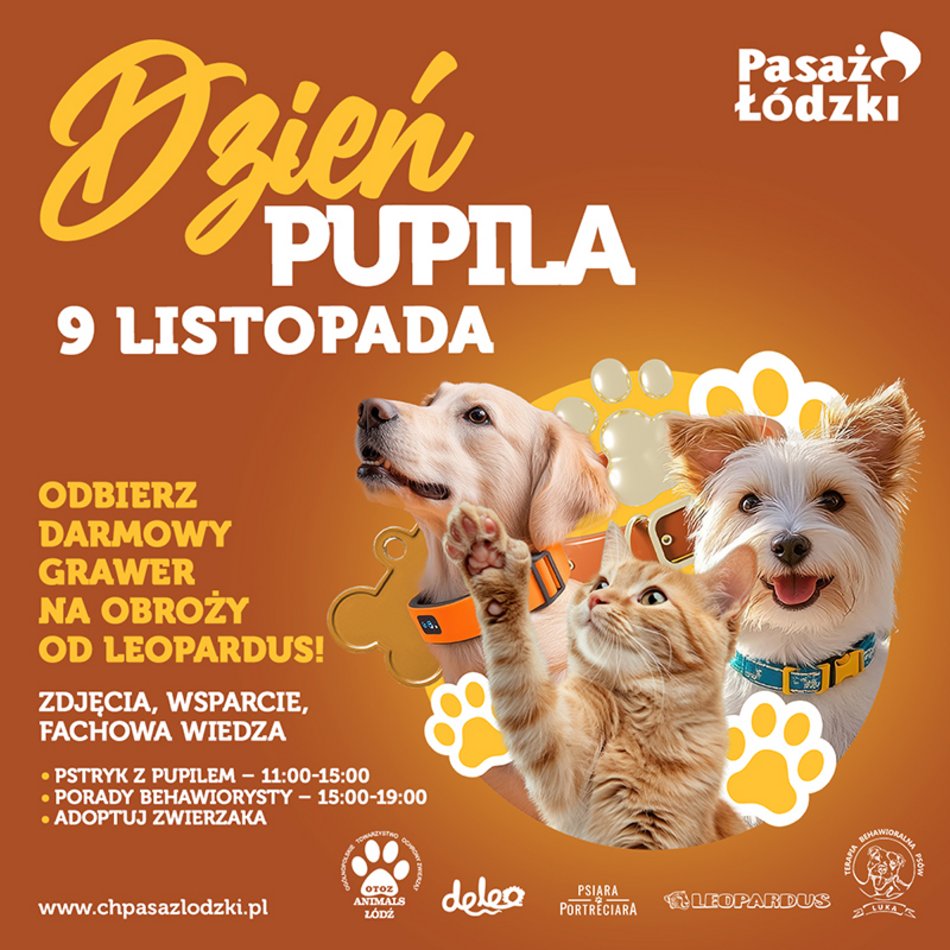 Wydarzenia w weekend w Łodzi