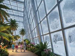 Łódź. Całoroczna dżungla w Ogrodzie Botanicznym