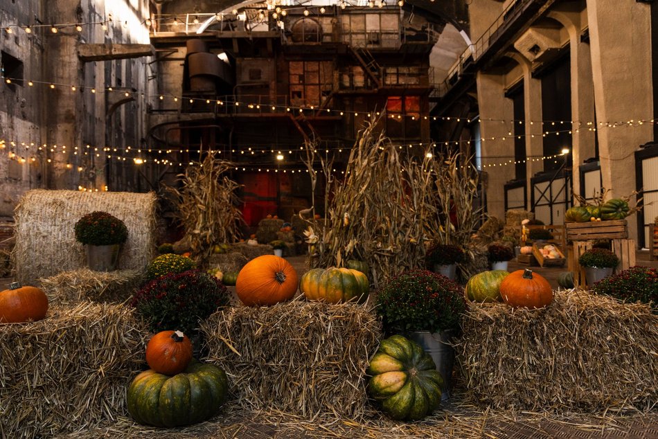 Łódź. Farma Dyń w Fuzji Łódź. Pozycja obowiązkowa na jesienną sesję fotograficzną! [ZDJĘCIA]