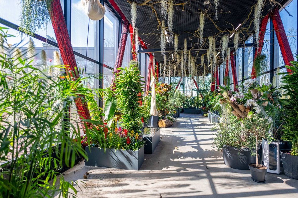 Łódź. Nowa motylarnia w Orientarium Zoo Łódź już otwarta! Największe takie miejsce w Polsce