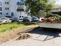 Łódź. Prace pielęgnacyjne w parku przy Leczniczej w Łodzi. Będzie ładniej i wygodniej!