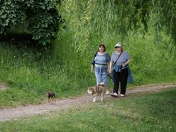 Łódź. Łodzianie spędzają czas wolny w Parku Helenów i Parku Podolskim w Łodzi. Sport i chillout