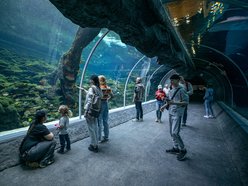 Orientarium Zoo Łódź z okazji Dnia Kobiet. Specjalny szlak edukacyjny potrwa aż do niedzieli