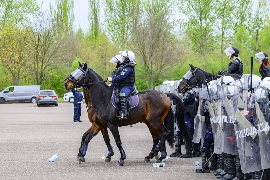 Łódź. Zwierzęta Straży Miejskiej na szkoleniu