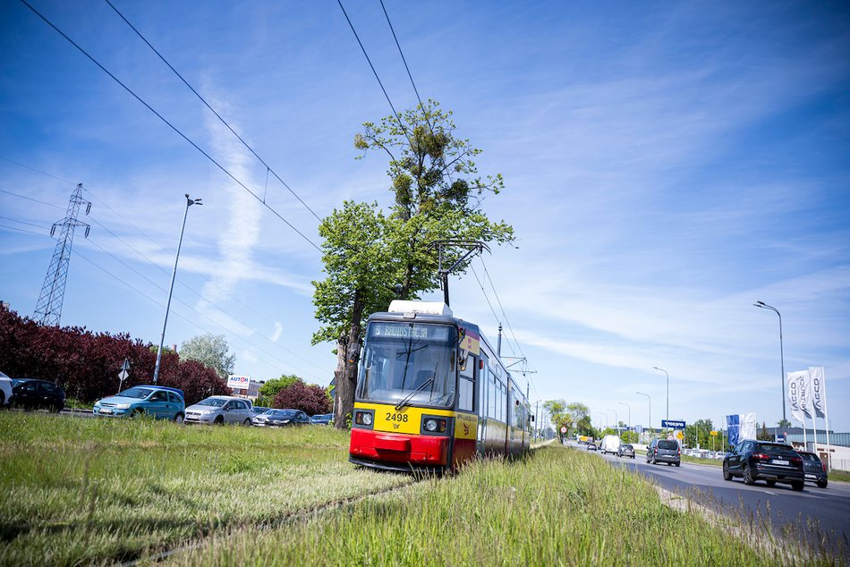 Łódź. Ponad 30 kilometrów najbardziej zielonych torowisk w Polsce? Oczywiście w Łodzi!