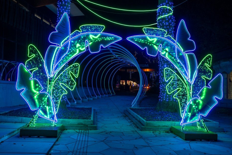 Park Miliona Świateł w Łodzi otwarty! Magiczne zwierzęta opanowały Orientarium Zoo Łódź