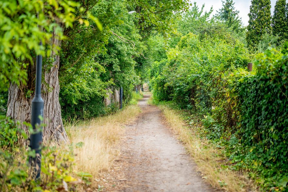 Łódź. Rewolucja przy Przędzalnianej w Łodzi. Zielona plaża, plac zabaw i pętla biegowa nad Jasieniem