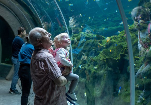 Orientarium Zoo Łódź