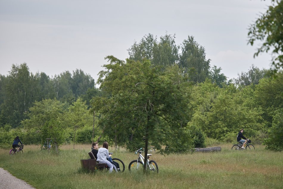To przesądzone! Będzie nowy park leśny na Lublinku. Więcej zieleni i tereny rekreacyjne