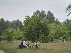 To przesądzone! Będzie nowy park leśny na Lublinku. Więcej zieleni i tereny rekreacyjne