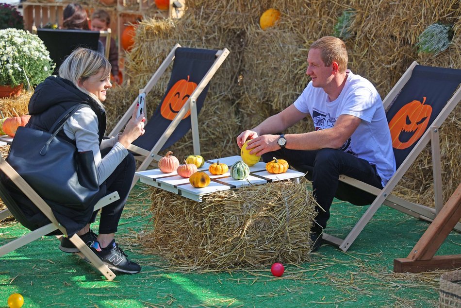 Farma Dyniowa w Pasażu Łódzkim