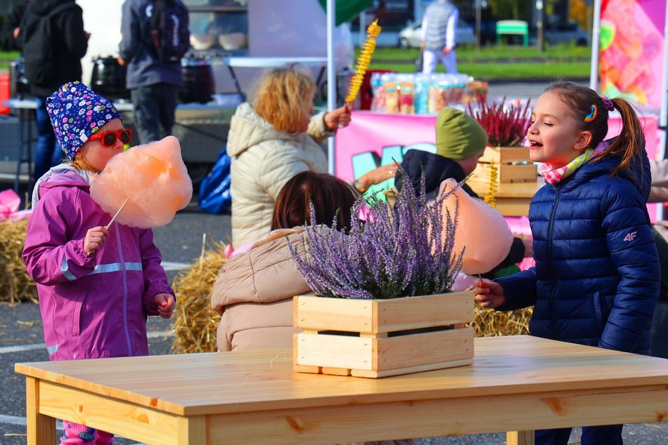 Farma Dyniowa w Pasażu Łódzkim