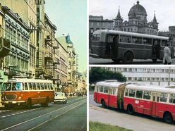 autobus na ulicy miasta