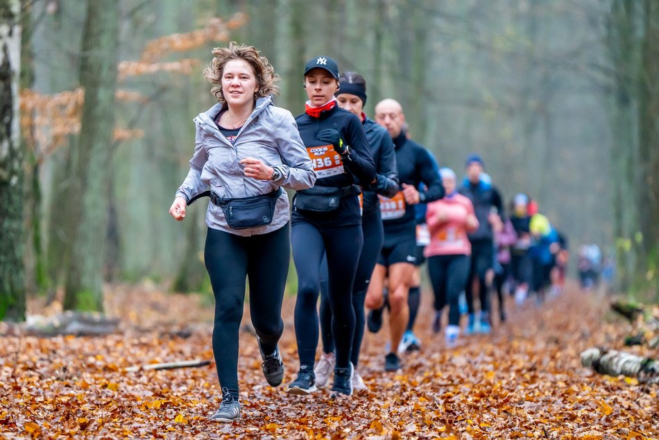 Cookie Run w Lesie Łagiewnickim w Łodzi