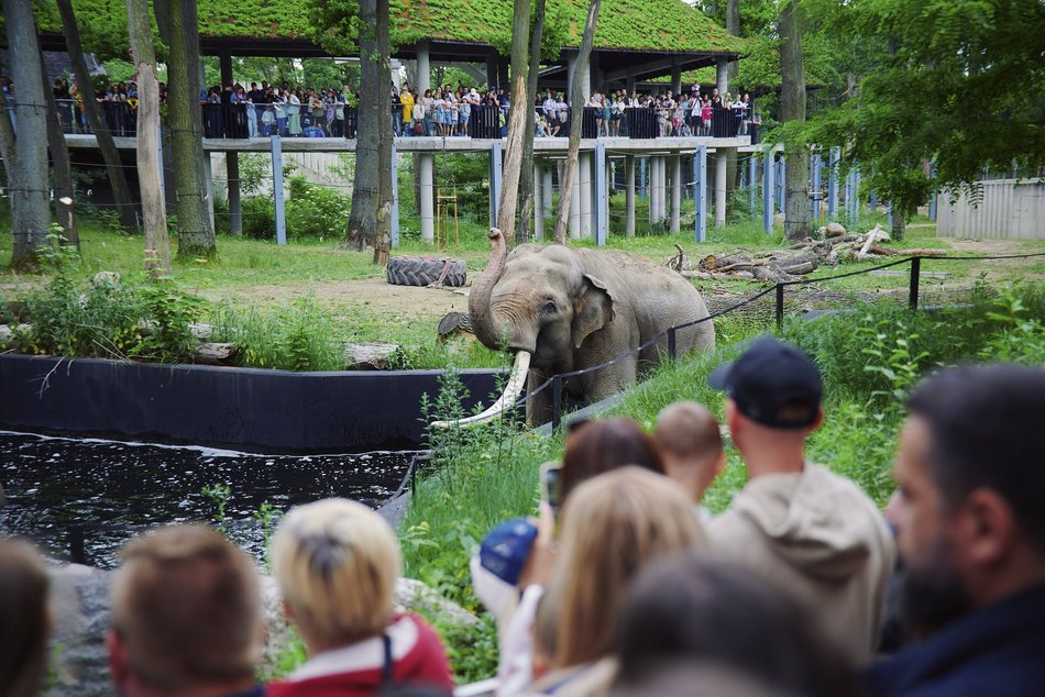 Łódź. Orientarium Zoo Łódź