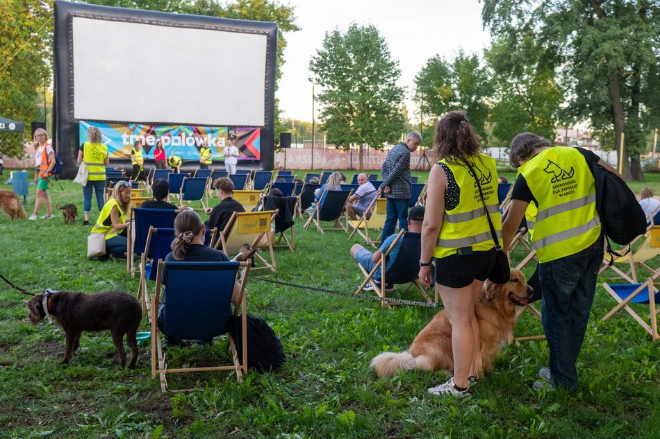 Łódź. Ostatni Psia Polówka w Łodzi za nami. Nic słodszego dziś nie zobaczysz!