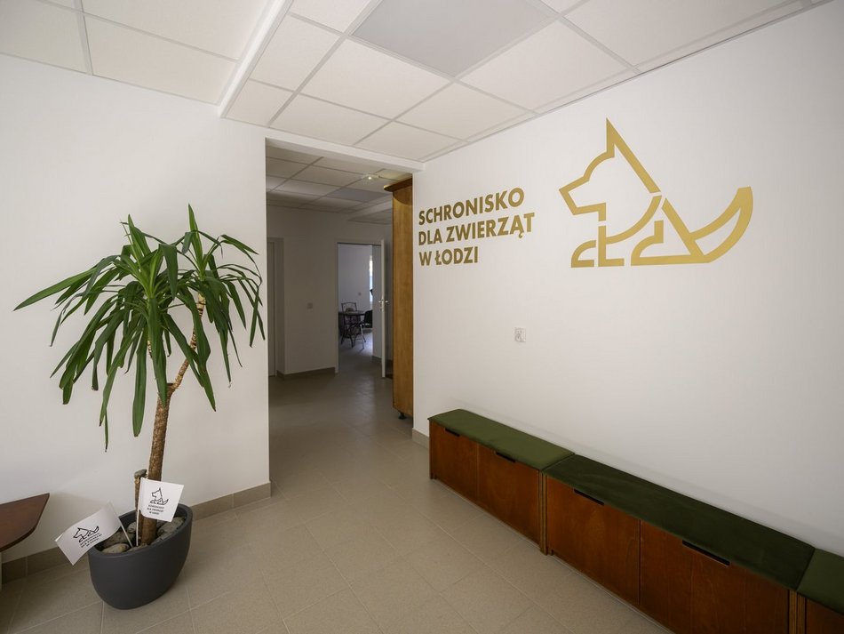 Łódź. Schronisko w Łodzi