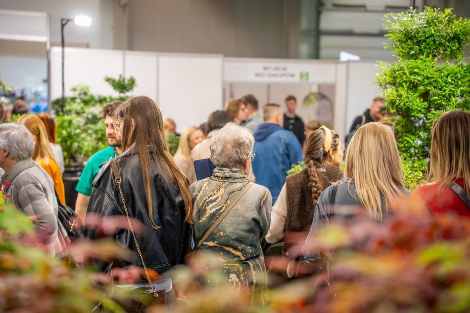Łódź. World Flower Show w hali Expo Łódź. Przyjdź i zobacz orchidee, drzewa bonsai i sukulenty