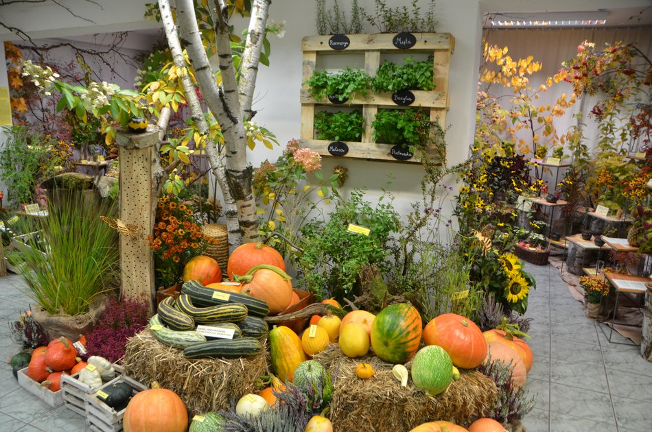 Ogród Botaniczny w Łodzi i Palmiarnia - atrakcje na otwarcie jesieni