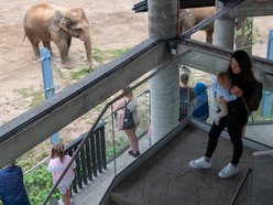 601. Urodziny Łodzi w Orientarium Zoo Łódź