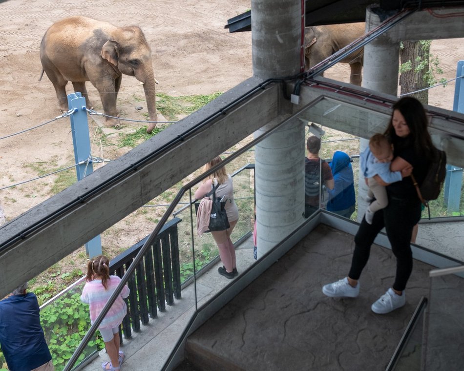 601. Urodziny Łodzi w Orientarium Zoo Łódź