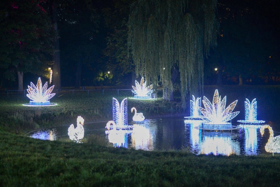 Park Miliona Świateł w Łodzi. Zobacz przedpremierowo największą zimową atrakcję!