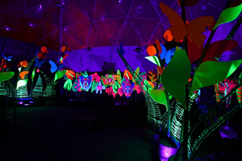 Park Miliona Świateł w Orientarium Zoo Łódź