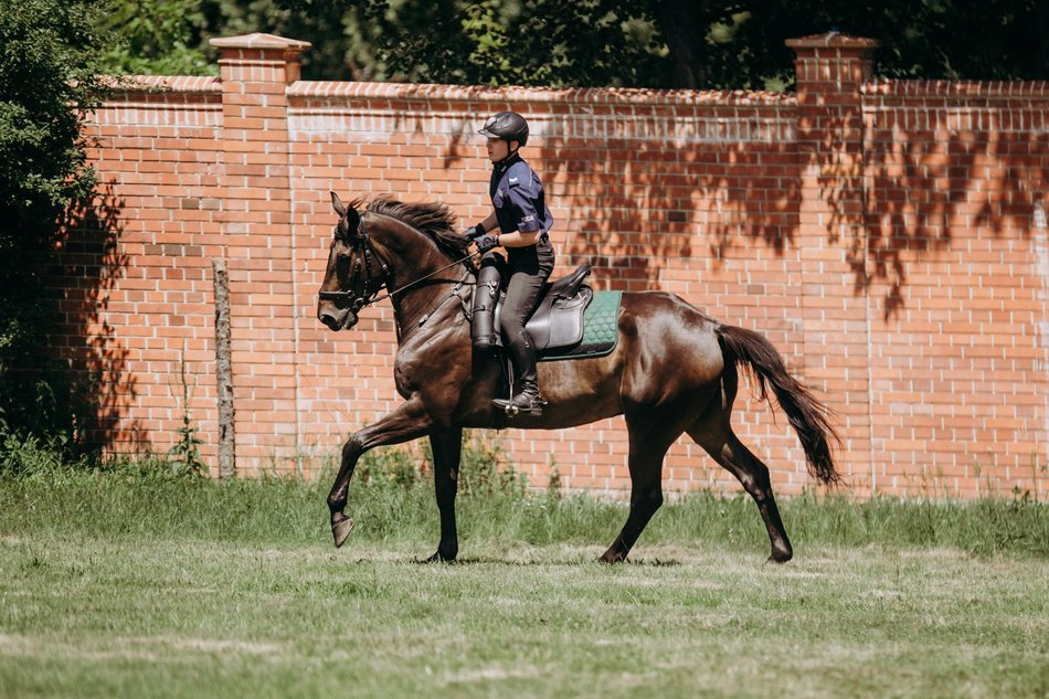 Międzynarodowy Turniej Mundurowych Formacji Konnych
