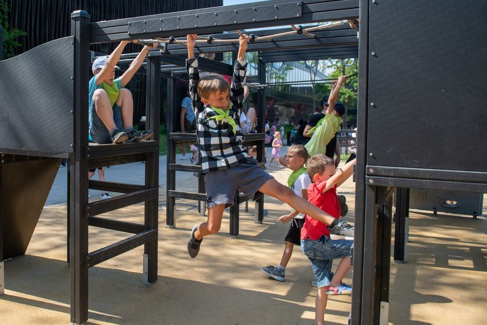 Ostatni dzwonek na zapisanie dziecka na półkolonie w Łodzi. Nie przegap ważnego terminu!