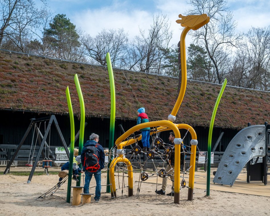 Łódź. Nowa żyrafa w Orientarium Zoo Łódź. Musisz ją poznać!