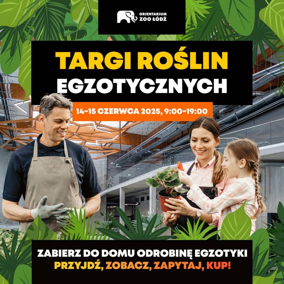 Łódź. Co robić w weekend w Łodzi? Fotofestiwal, Ravekjavík i Targi Roślin Egzotycznych