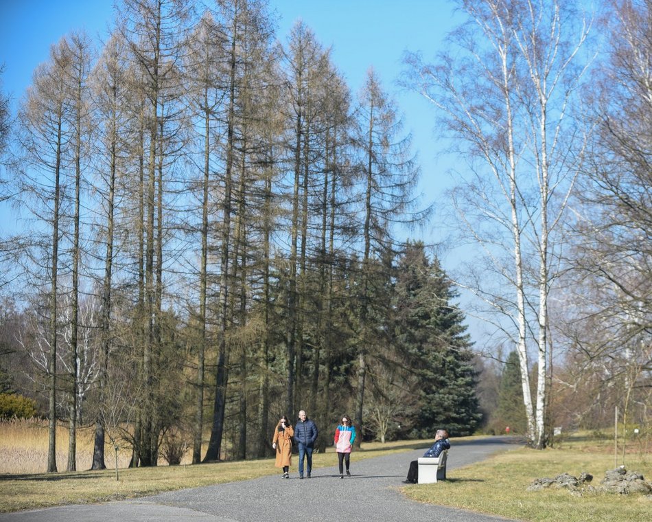 ogród botaniczny
